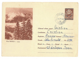 IP 62 - 02zb MOUNTAIN In Winter, Romania - Stationery - Used - 1962 - Natura