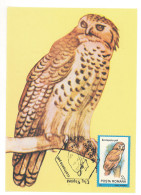 MAX 47 - 381 BIRD, Romania - Maximum Card - 1992 - Altri & Non Classificati