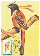 MAX 47 - 389 BIRD, Romania - Maximum Card - 1992 - Altri & Non Classificati