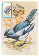 MAX 47 - 387 BIRD, Romania - Maximum Card - 1992 - Altri & Non Classificati