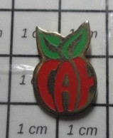 1720 Pin's Pins / Beau Et Rare / ADMINISTRATIONS / CAF EN FORME DE POMME - Administrations