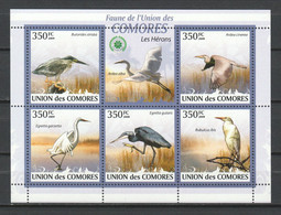Comores 2009 Kleinbogen Mi 2377-2381 MNH HERON BIRDS - Storks & Long-legged Wading Birds
