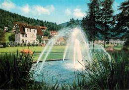 72886432 Wildemann Klein Tirol Im Oberharz Springbrunnen Wildemann Harz - Wildemann