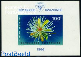 Rwanda 1966 Flowers S/s Imperforated, Mint NH, Nature - Flowers & Plants - Otros & Sin Clasificación