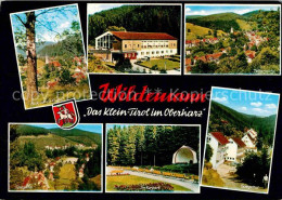 72885578 Wildemann Panorama Kurort Klein Tirol Kirche Kurhaus Spiegeltal Kurpark - Wildemann