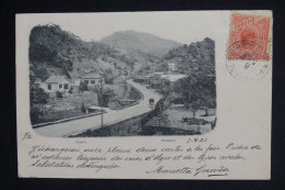 BRESIL - CPA Région De Rio Pour L'Algérie - 1903 - Pas Courant - A  2100 - Storia Postale