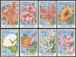 Lesotho 1993 Flowers 8v, Mint NH, Nature - Flowers & Plants - Lesotho (1966-...)