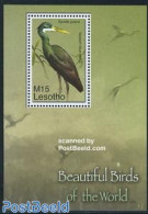 Lesotho 2007 Beautiful Birds S/s, Mint NH, Nature - Birds - Lesotho (1966-...)