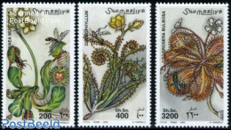 Somalia 2000 Carnifor Plants 3v, Mint NH, Nature - Flowers & Plants - Somalia (1960-...)