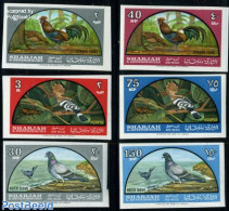 Sharjah 1965 Birds 6v Imperforated, Mint NH, Nature - Birds - Insects - Poultry - Pigeons - Sharjah