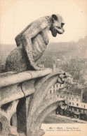 FRANCE - Paris - Notre-Dame - Chimère - Diable Chien - Tour Sud - Carte Postale Ancienne - Notre-Dame De Paris