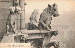 FRANCE - Paris - Notre-Dame - Chimères - Chien à 2 Têtes Et Bœuf - Tour Nord - Carte Postale Ancienne - Notre-Dame De Paris