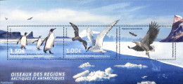 French Antarctic Territory 2017 Birds S/s, Joint Issue With Greenland, Mint NH, Nature - Various - Birds - Penguins - .. - Ungebraucht