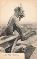 FRANCE - Paris - Notre Dame - Chimère - Diable Bouc - Tour Sud - Carte Postale Ancienne - Notre Dame De Paris