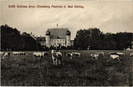 CPA AK BAD AIBLING Schloss Maxlrain GERMANY (1384386) - Bad Aibling