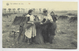 BELGIQUE CARTE LA CULTURE DU LIN + VERSO CACHET ALLEMAND KORTRYK + XV ARMEE KORPS 1915 BELGIEN - Esercito Tedesco