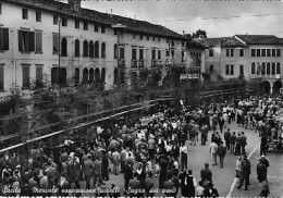 Sacile (Pordenone) - Mercato Degli Uccelli (sagra Dei Osei) - Bellissima (fot. Carniello 619) - Pordenone