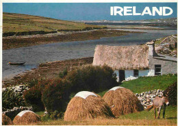 Irlande - Galway - Connemara - Anes - Irish Cottage - CPM - Voir Scans Recto-Verso - Galway