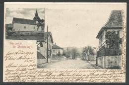 Carte P De 1901 ( Souvenir De Donneloye ) - Donneloye