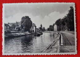 OUDENAARDE  -  Schelde En Pamelekerk - Oudenaarde