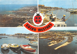 33-GUJAN MESTRAS-N°4201-B/0309 - Gujan-Mestras