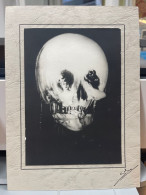 Vieille Illustration Tête De Mort . Avec Portrait De Femme . 12.5x17.5 Cm - Affiches