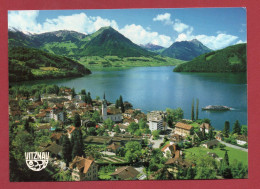 VITZNAU Am Vierwaldstättersee Mit Buochserhorn Stanserhorn - Vitznau