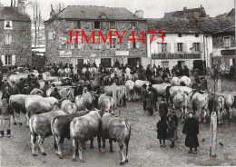 CPM - La Foire Aux Boeufs Gras - 1912 - Il était Une Fois L'Auvergne Et Les Cévennes - Edit. ARSENE Et DEMO - Foires