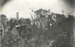 METIER AGRICULTURE CARTE-PHOTO SCENE DE VENDANGES PAYSANS CHARRETTES - Bauern