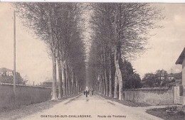 CHATILLON SUR CHALARONNE             Route De Thoissey - Châtillon-sur-Chalaronne