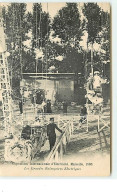 MARSEILLE - Exposition Internationale D'Electricité 1908 - Les Grandes Balançoires Electriques - Manège - Weltausstellung Elektrizität 1908 U.a.