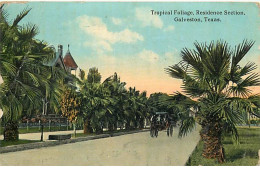 Etats-Unis - GALVESTON - Tropical Foliage - Residence Section - Galveston