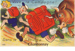 Vive La Campagne !... Dans Le Sac Il Y A CHANTONNAY (Carte à Système) - Chantonnay