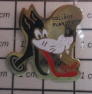 713L Pin's Pins / Beau Et Rare / ADMINISTRATIONS / COLLEGE PLAN DU LOUP - Administration