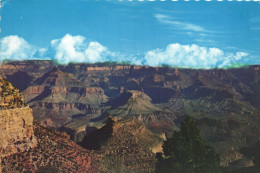 GRAND CANYON NATIONAL PARK, ARIZONA, UNITED STATES, POSTCARD - Gran Cañon