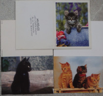 Petit Calendrier De Poche Lot 3 Calendriers 2006 Chat Chaton - Petit Format : 2001-...