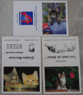 Petit Calendrier De Poche Lot 3 Calendriers 2006 Chat Chaton - Petit Format : 2001-...