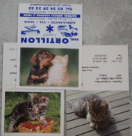 Petit Calendrier De Poche Lot 3 Calendriers 2008 Chat Chaton - Petit Format : 2001-...