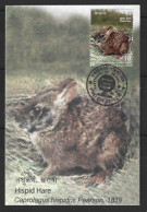 NEPAL. N°1019 Sur Carte Maximum De 2012. Lapin Asiatique. - Rabbits