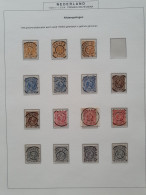 1891-1899, Emissie Hangend Haar, Zwaar Gespecialiseerde Meest Gestempelde Collectie Met O.a. Kleuren, Papiersoorten, (se - Collezioni