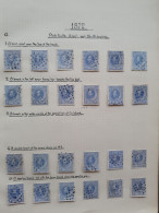 1872-1891, Gespeciailiseerde Collectie 5 Cent Nr. 19 Met Plaatfouten, Tandingen, Stempels Etc. Keurig Opgezet In Blanco  - Collezioni