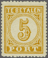 Unmounted Mint 5 Cent Bruingeel, Mooi Gecentreerd Pracht Ex. Met Certificaat Vleeming 2023, Cat.w. 1400 - Postage Due