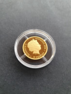 Australia 10 Dollars 2006 - Voyage Of Discovery Of Duyfken – Gold 5.00gr. 0.999 – Proof In Capsule In Small Box  - Autres & Non Classés