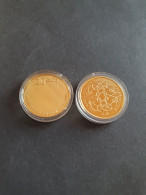 20 Euro 2004 En (2 Stuks) - Geboortemunt 2004 En Verjaardagsmunt 2017 – Goud 13.44gr. 0.900 – Proof In Capsules In Doosj - Autres & Non Classés