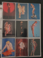 Collection Pin Up Girls Collector Cards Including Playboy, Vampirella Etc., Large Number Of Cards  in 2 Albums In Box - Sonstige & Ohne Zuordnung