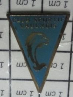 713L Pin's Pins / Beau Et Rare / SPORTS / DAUPHIN NATATION CLUB NAUTIQUE VAULXOIS - Natación