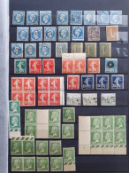 1862-1928 Specialised Collection Varieties/errors: Including Imperforate, Overprint And Perforation Shifts Etc. Large Nu - Other & Unclassified