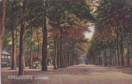 260542Apeldoorn, Loolaan – 1920 (zie Hoeken) - Apeldoorn