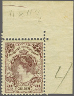 Unmounted Mint 2½ Gulden Grijsviolet Tanding 11½ Met Hoekvelrand (plakkerrestje Op Velrand) En Certificaat Vleeming 2023 - Ohne Zuordnung