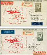 Cover , Airmail Meeuwen 15 En 25 Gulden Op 2 Particuliere, Geïllustreerde Eerstedagenveloppen Van Amsterdam 12-11-1951 N - Ohne Zuordnung